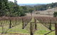 Habitat Vineyard - thumb 0