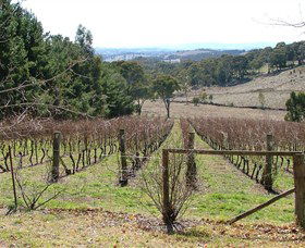 Habitat Vineyard - QLD Tourism 0