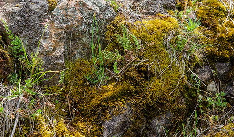 Hopetoun Falls Walking Track - QLD Tourism 2