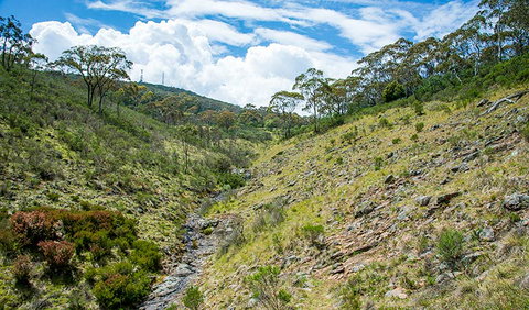 Hopetoun Falls Walking Track - QLD Tourism 3