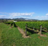 Hedberg Hill Wines - Queensland Tourism