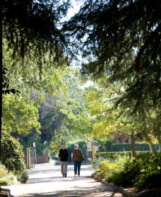 Cook Park Heritage Walk - QLD Tourism 0