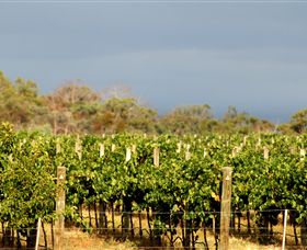 Amulet Vineyard And Beechworth Cider - Queensland Tourism 7