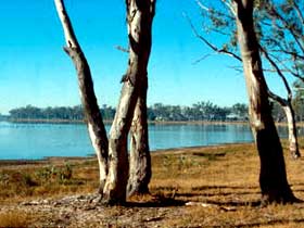 Lake Broadwater Conservation Park - QLD Tourism 0