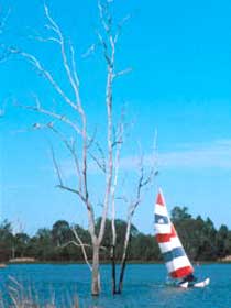 Lake Broadwater Conservation Park - QLD Tourism 2