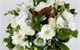 Judy Chirnside Flowers - thumb 3