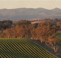 Angullong Wines - QLD Tourism