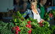 Capital Region Farmers Markets - thumb 3