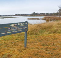 Lagoon Circuit walking track - QLD Tourism