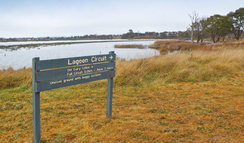 Lagoon Circuit Walking Track - QLD Tourism 0
