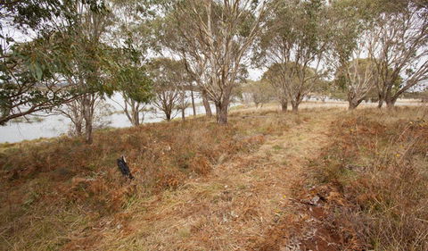 Lagoon Circuit Walking Track - QLD Tourism 1