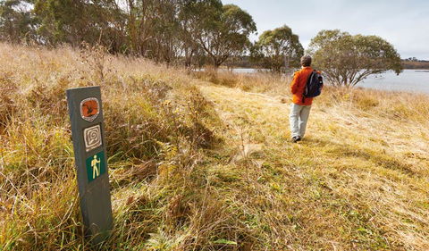 Lagoon Circuit Walking Track - QLD Tourism 2