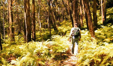 Federal Pass - QLD Tourism 0