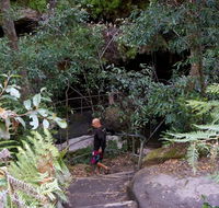 Leura Cascades Fern Bower - Queensland Tourism