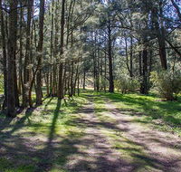 Wombeyan Waterfall walking track - Queensland Tourism