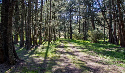 Wombeyan Waterfall Walking Track - Queensland Tourism 0