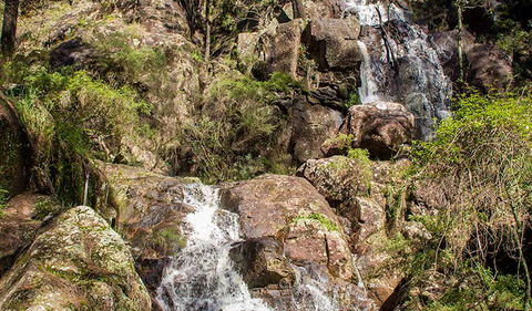 Wombeyan Waterfall Walking Track - Queensland Tourism 3