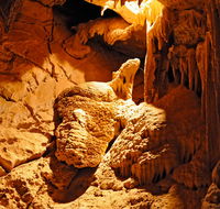 Fig Tree Cave - Queensland Tourism