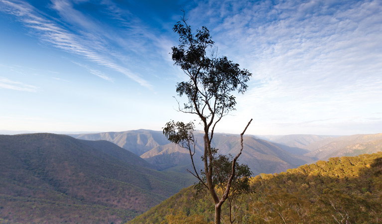 Mihi NSW QLD Tourism