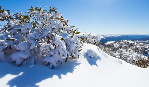 Perisher - QLD Tourism 3