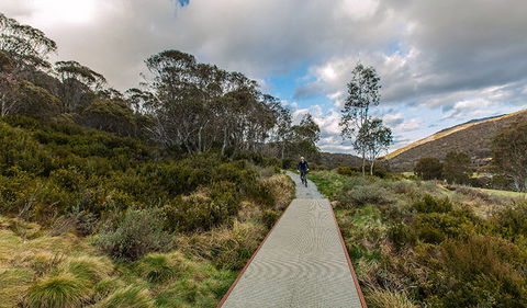 Thredbo Valley Track - QLD Tourism 0