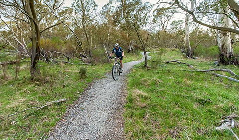 Thredbo Valley Track - QLD Tourism 1