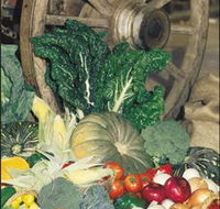 Mulgowie Real Farmers Markets - QLD Tourism