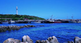 King Island Dairies - QLD Tourism 0
