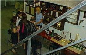 John Kosovich Wines - QLD Tourism 1