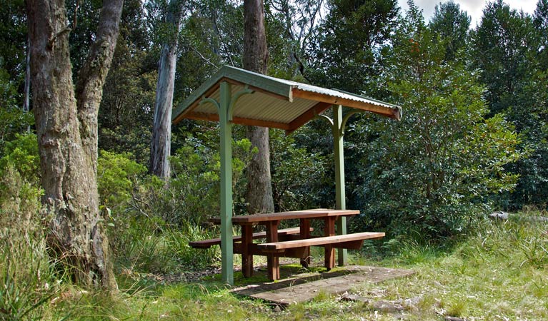 Bretti NSW QLD Tourism