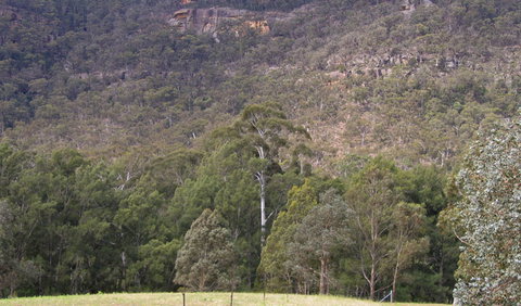 Bangadilly National Park - QLD Tourism 0
