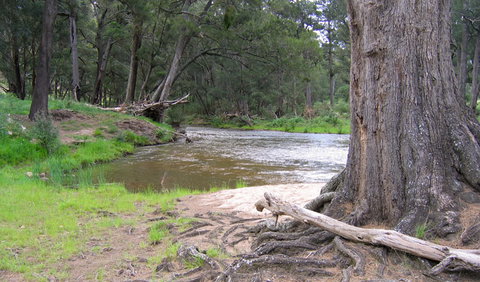 Bangadilly National Park - QLD Tourism 3
