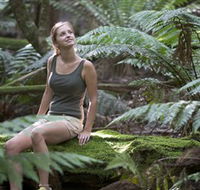 Barrington Tops National Park - Honeysuckle Forest Track - QLD Tourism