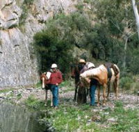 Yarramba Horse Riding - QLD Tourism