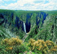 Wollomombi Falls - QLD Tourism