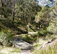 Wollomombi walking track - QLD Tourism