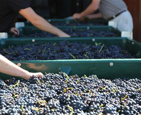 Around Hermitage Wine And Food Trail Hunter Valley - QLD Tourism 6