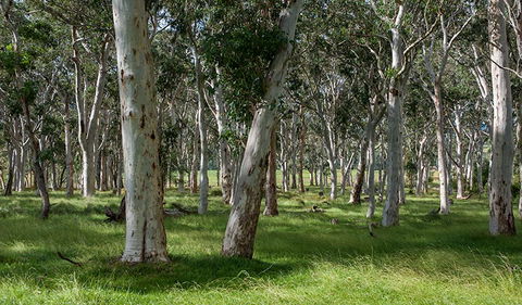 Coast To The Highlands Scenic Drive â€“ Kangaroo Valley - Queensland Tourism 1