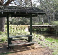 Barrington Tops State Forest - QLD Tourism