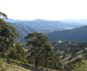 Barrington Tops State Forest - QLD Tourism 2