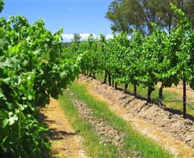 Misty Glen Wines And Cottage - Queensland Tourism 1