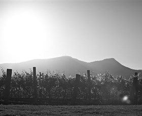 Scarborough Wine Co. - QLD Tourism 1