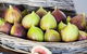 Tinklers Wines And Farm Produce - thumb 5