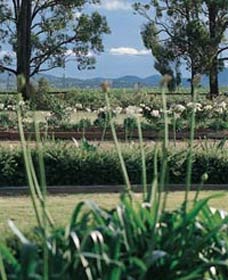 Vinden Estate Wines - Queensland Tourism 1