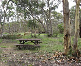 Box Vale Picnic Area - QLD Tourism 2