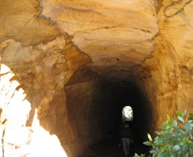 Box Vale Picnic Area - QLD Tourism 1