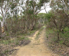 Box Vale Picnic Area - QLD Tourism 4