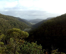 Nattai Gorge Lookout - QLD Tourism 0