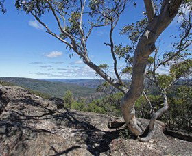Nattai Gorge Lookout - QLD Tourism 1