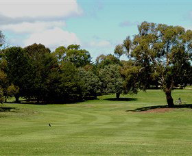 Cooma Golf Club - QLD Tourism 1